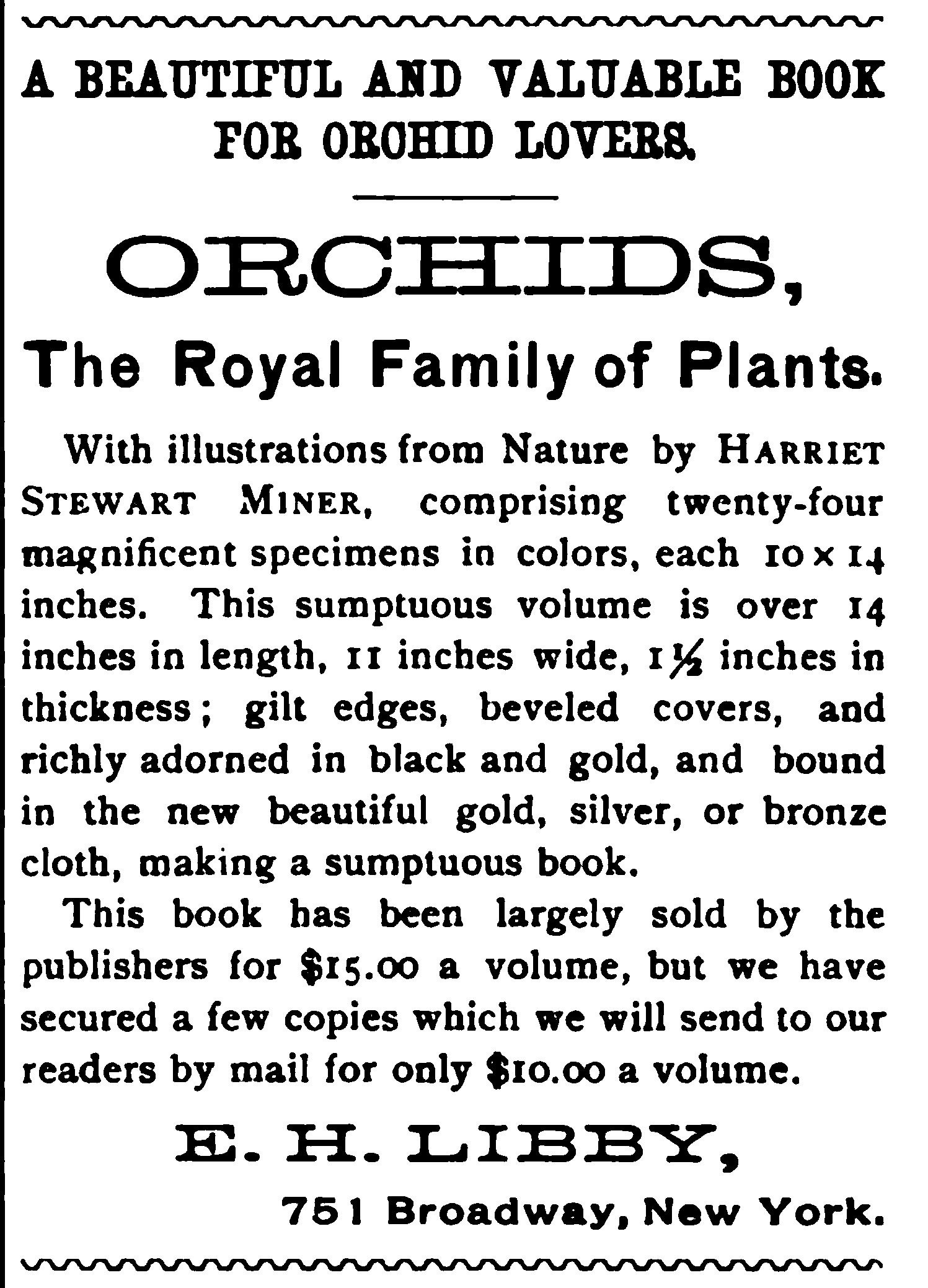 The_American_Garden-harriet-stewart-miner-orchids-the_royal_family_of_plants.png