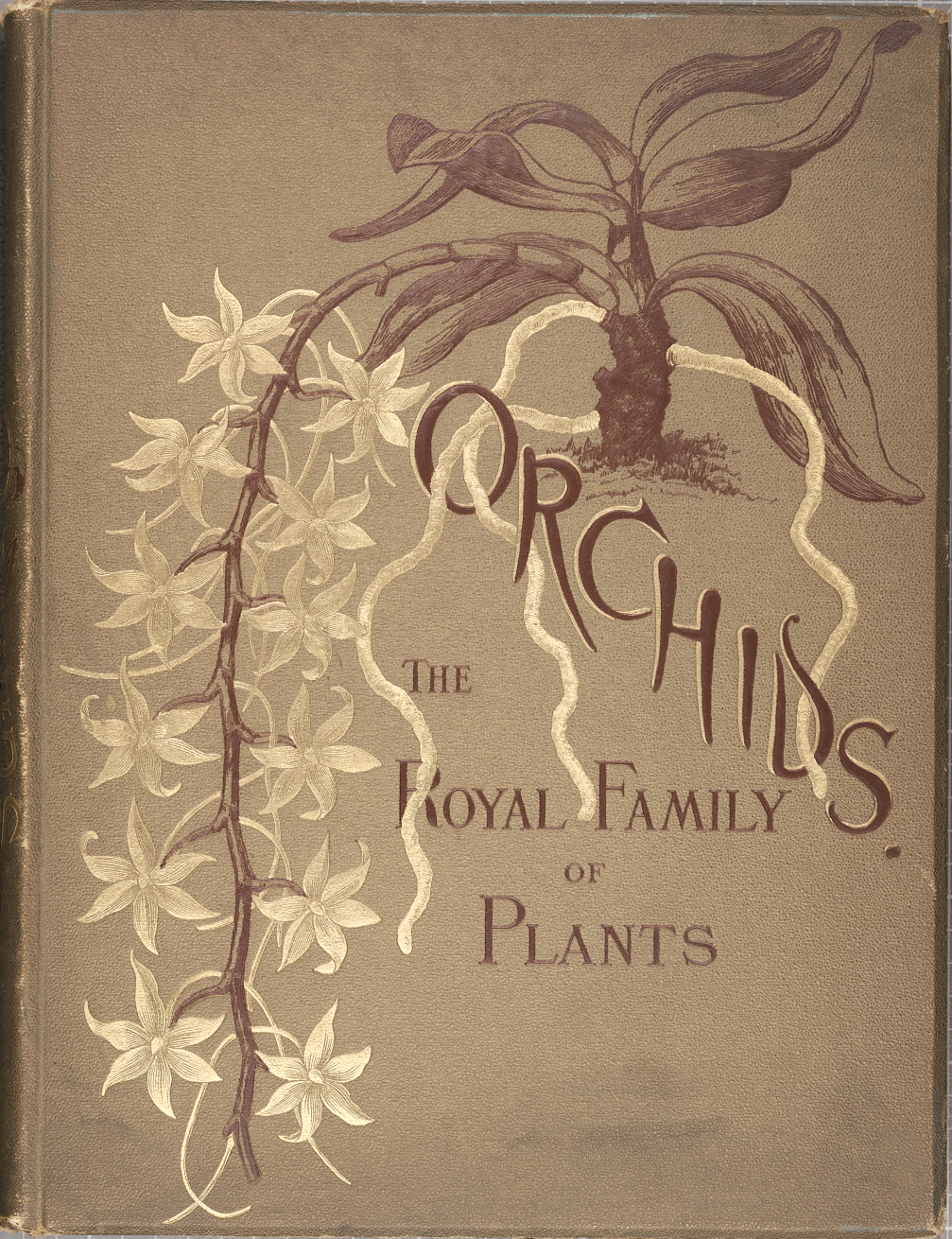 Orchids-Royal Family of Plants-Harriet
                          Stewart Miner