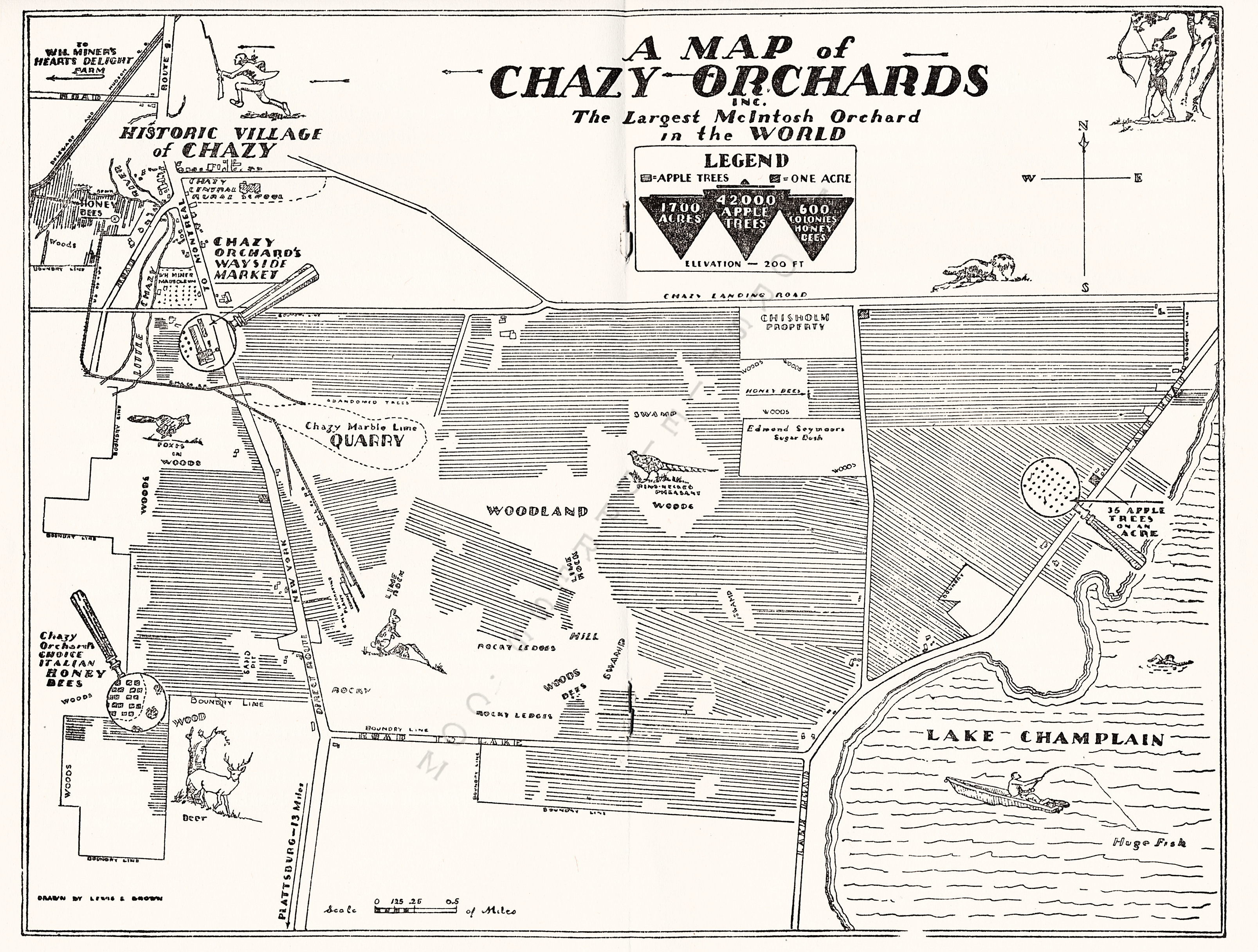 chazy orchards brochure 1957