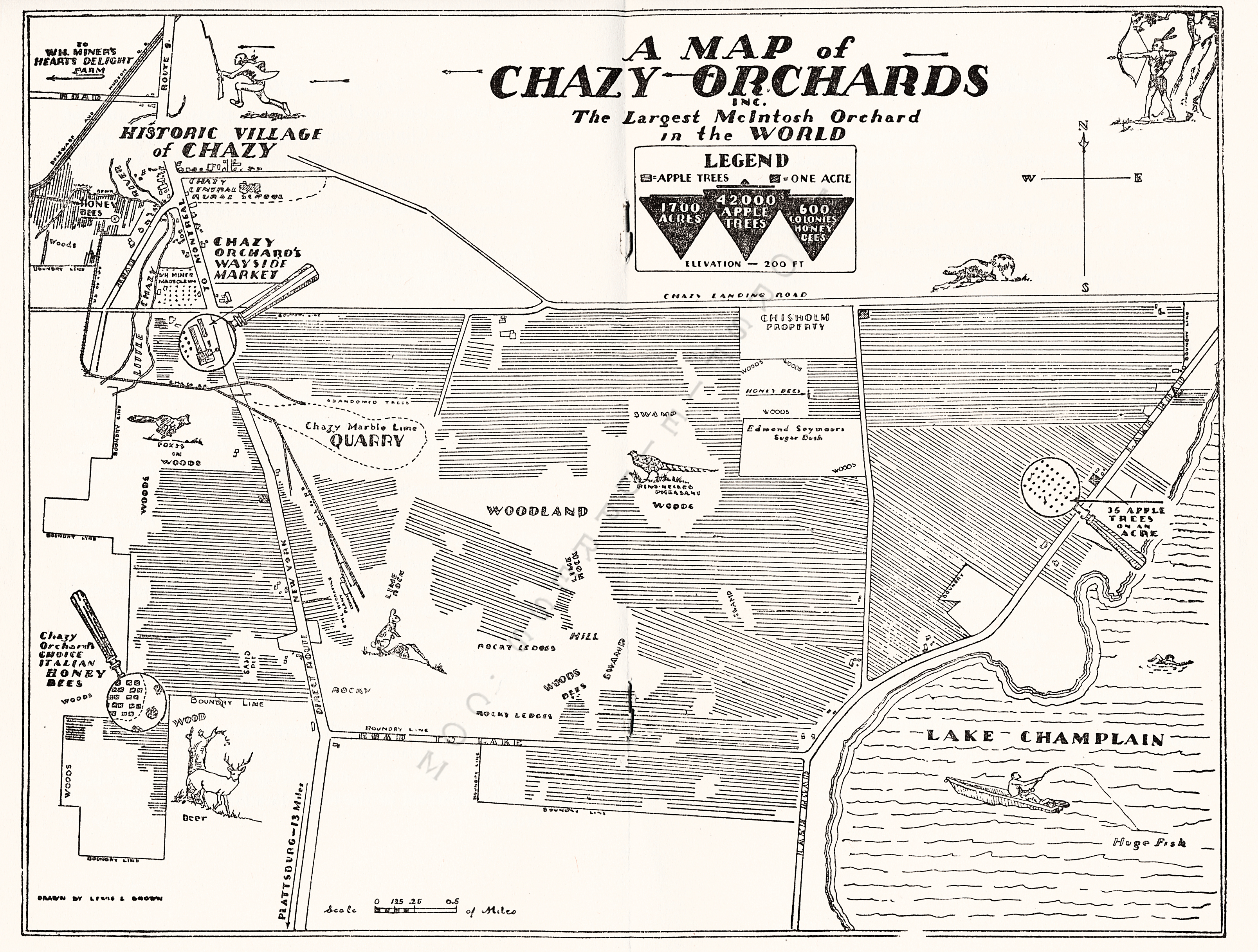 chazy orchards brochure 1957