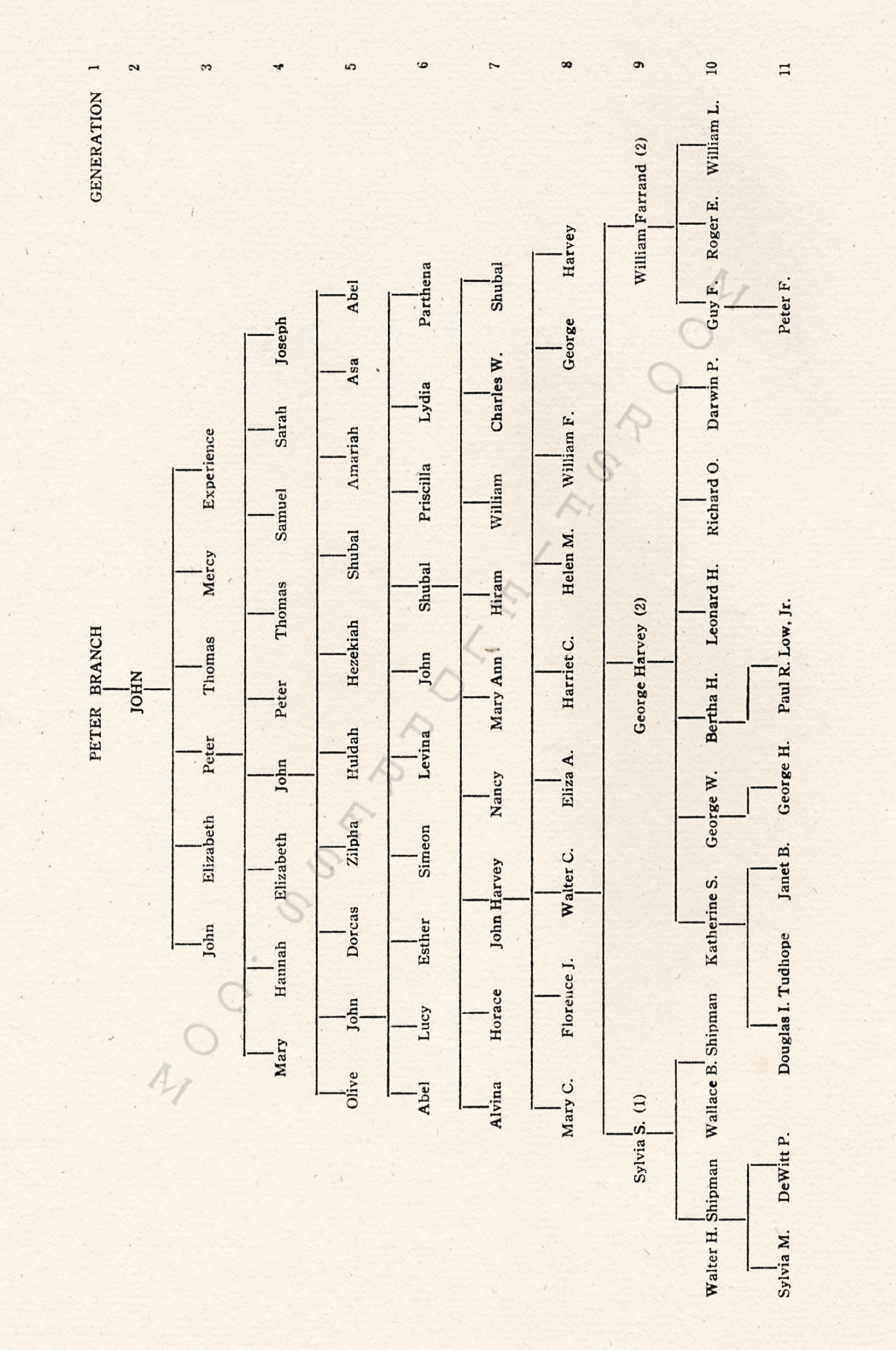 The Branch
                      Family of New England, The Line of William Farrand
                      Branch