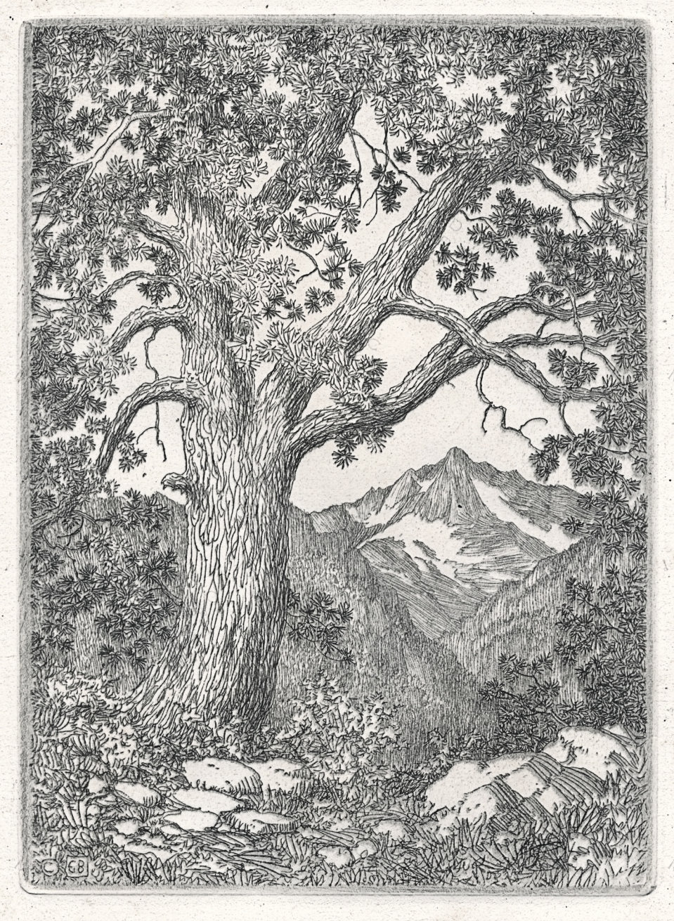 The Print Connoisseur Art Magazine by
                        Winfred Porter Truesdell
